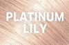 Platinum Lily