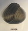 Toner La riche Directions silver