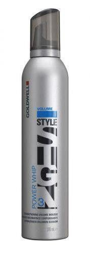 Pianka Power Whip StyleSign 300 ml